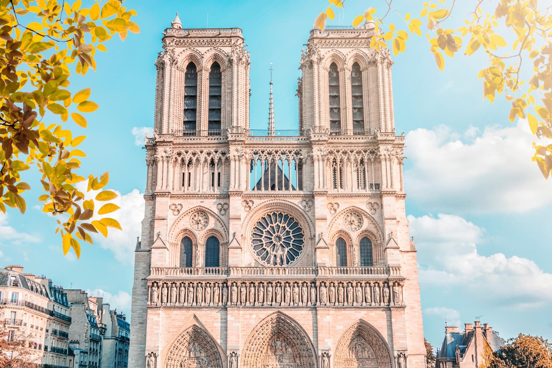 Cathédrale Notre-Dame de Paris