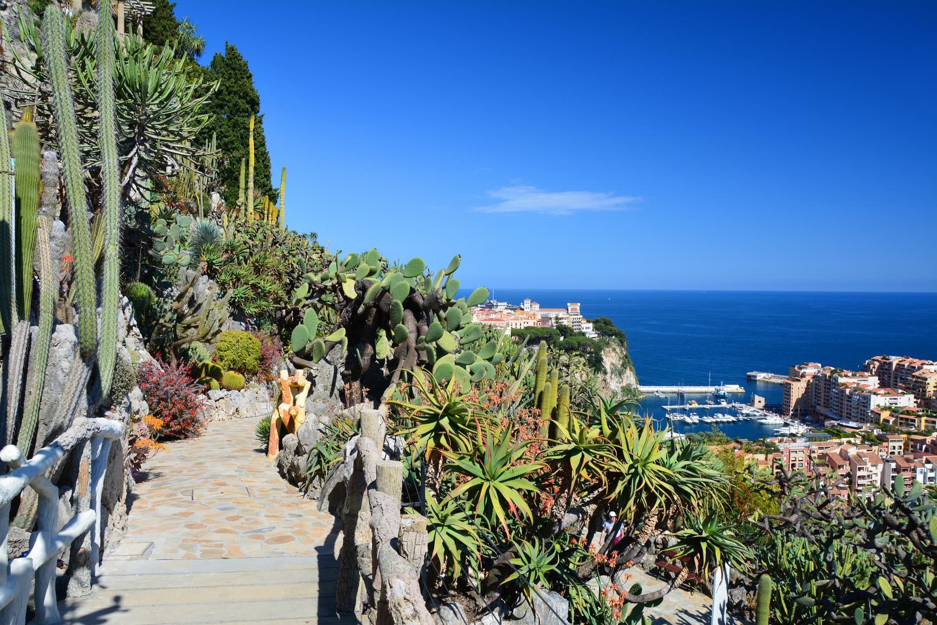 Jardin Exotique de Monaco