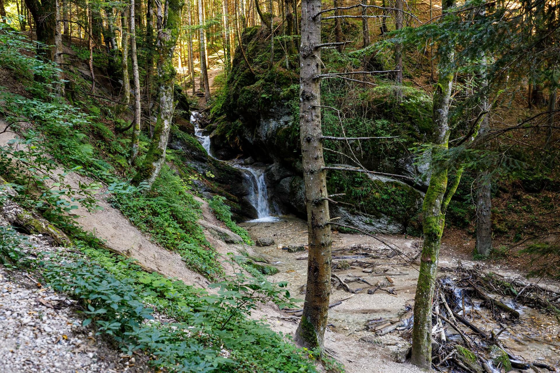 Canyon de 7 échelles