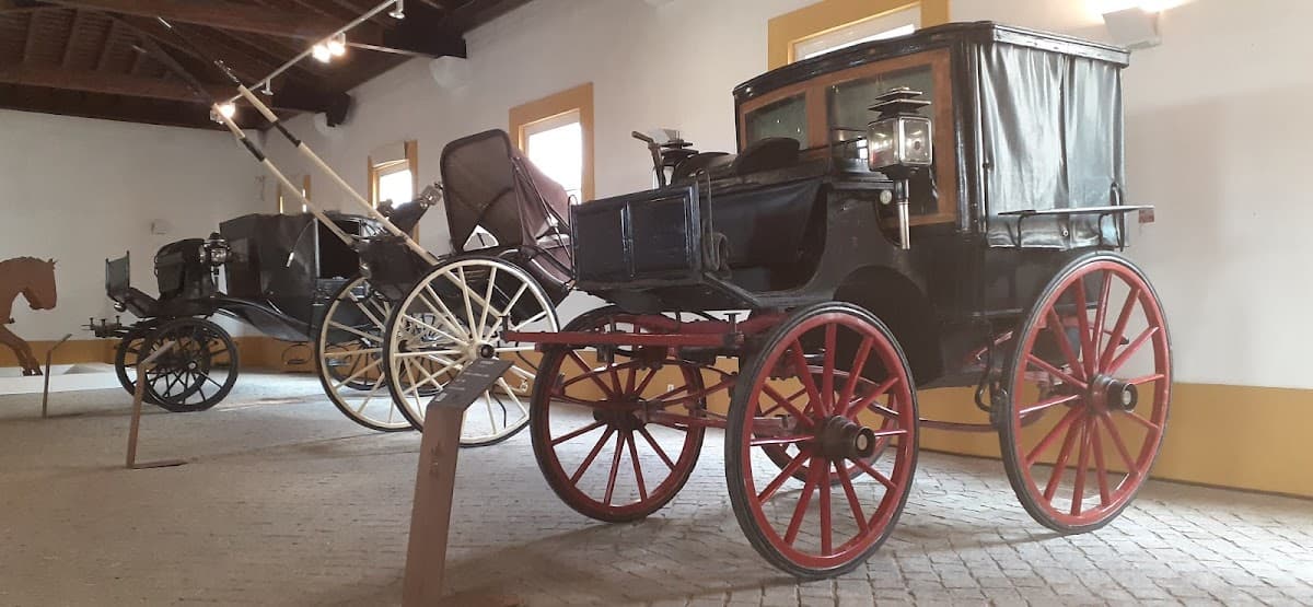 Haras d’Alter do Chão