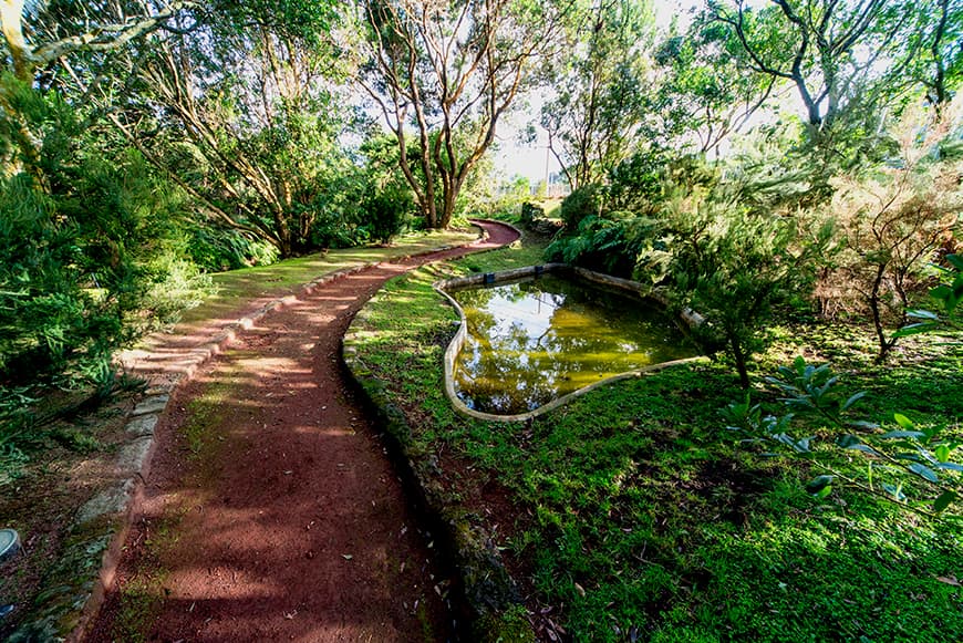 Jardim botanico do Faial