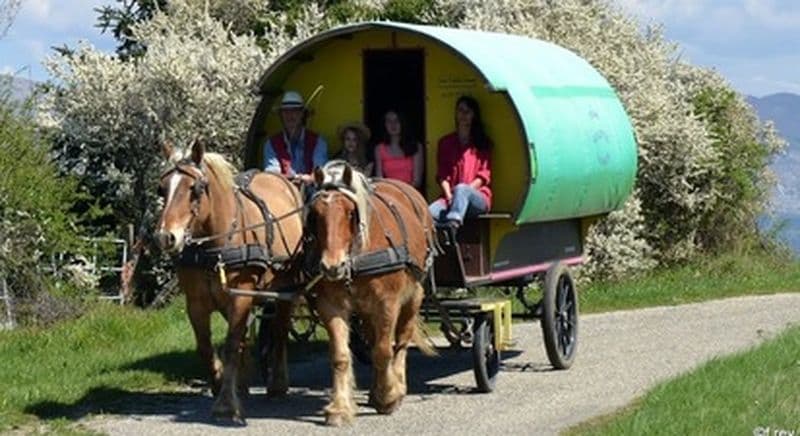 Nuit insolite dans une roulotte à le Poët-Célard et balade en Calèche autour du massif du Couspeau