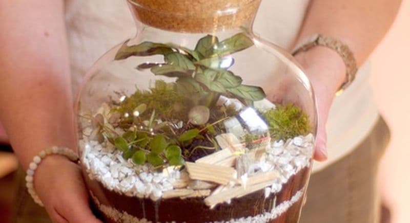 Billet Atelier création de terrarium à Paris 19ème