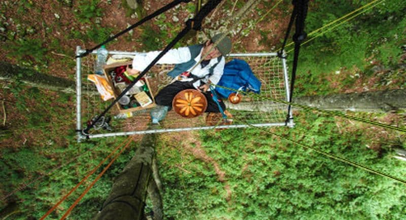 Grimpe d'Arbres avec goûter ou apéro prés de Thonon-les-Bains