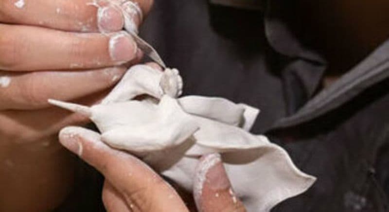 Atelier modelage & sculpture argile à Saint-Louis-de-Montferrand près de Bordeaux