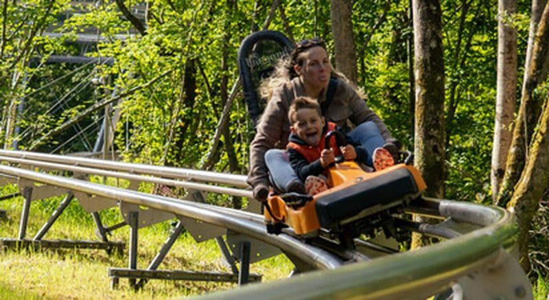 Billet Luge sur rail en duo au Viaduc de la Souleuvre
