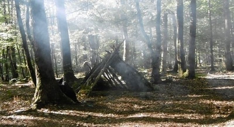 Stage de survie 2 jours/ 1 nuit à Joué sur Erdre
