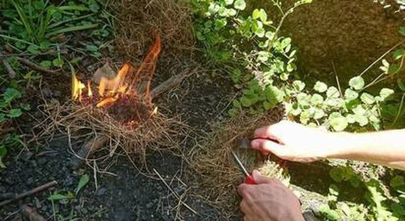 Stage de survie en forêt près de Grenoble