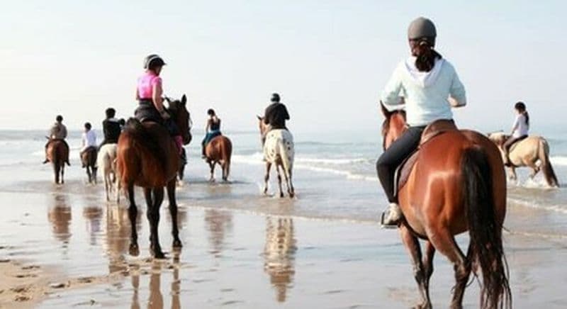 Séjour randonnée équestre près de Soulac-sur-Mer