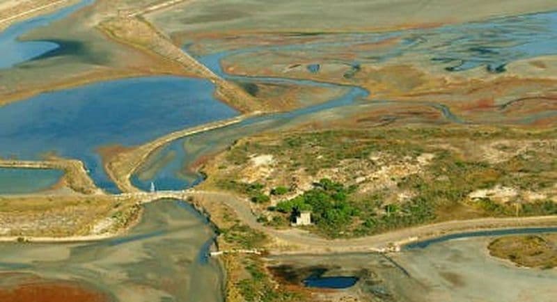 Vol et pilotage en hélicoptère au dessus de la Camargue