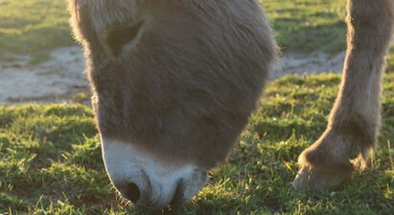 Atelier fabrication de savon au sein d'une ferme cosmétique paysanne près de Lyon