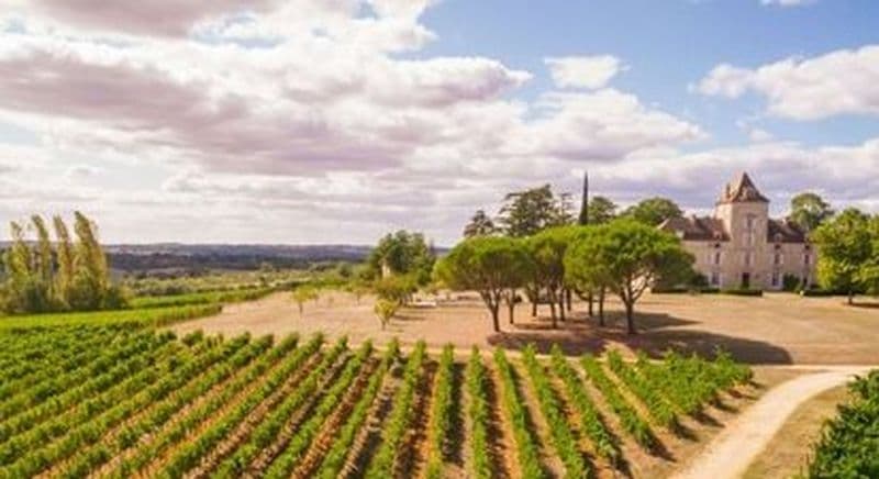 Visite et dégustation de vin au Château de Haute-Serre à Cieurac
