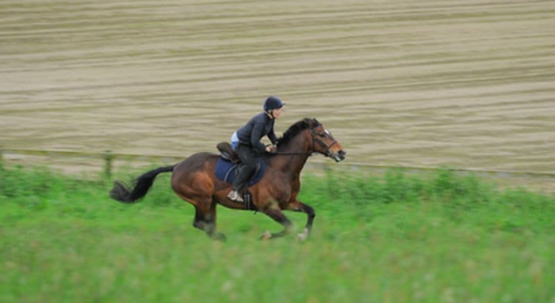Balade à cheval dans la campagne de l'Auxois près de Dijon
