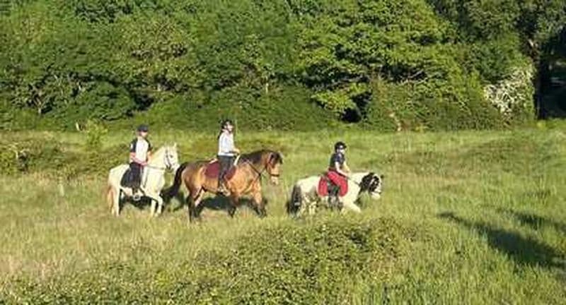 Chasse au trésor à poney près de Poitiers