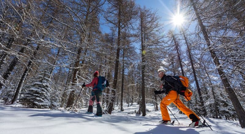 Billet Sortie ski de randonnée près de Risoul