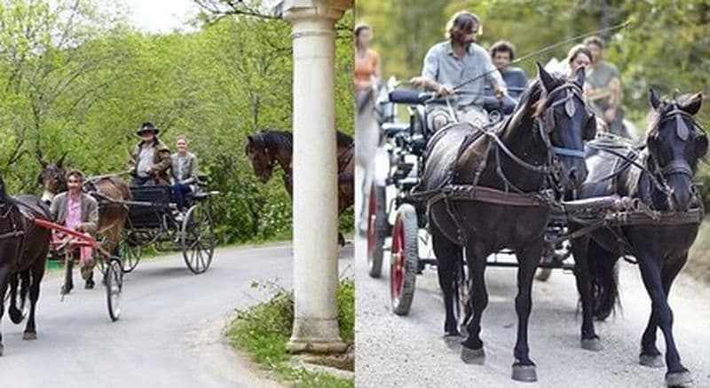 Billet Balade en calèche à Cabrerets près de Cahors