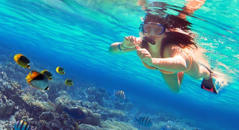 Snorkeling à Villefranche-sur-Mer près de Nice
