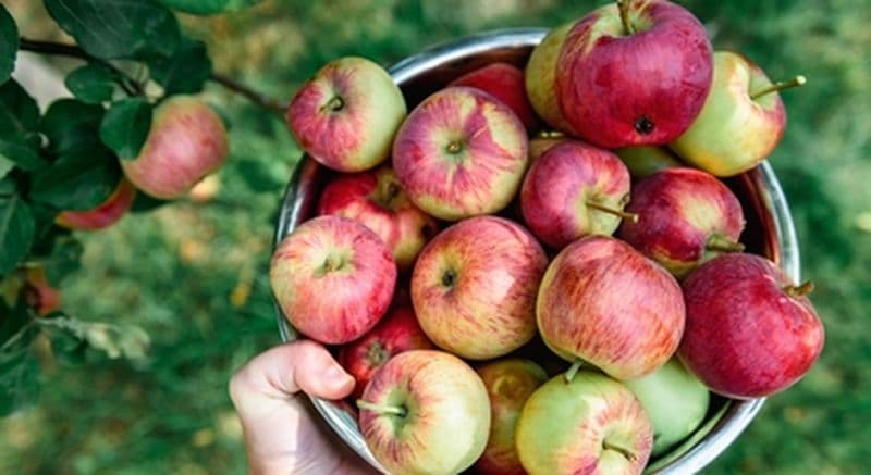Billet Visite dégustation dans une cidrerie près de Quimper