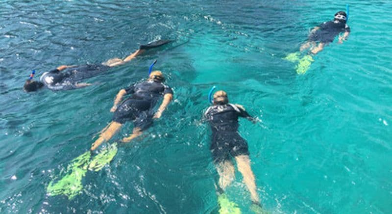 Randonnée Palmée aux îles Sanguinaires depuis Ajaccio