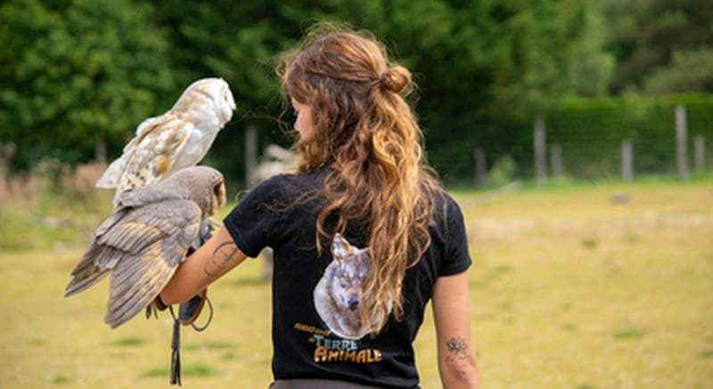 Initiation à la fauconnerie avec des Oiseaux stars de cinéma près d'Orléans