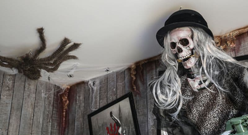 Anniversaire au Gulli Parc avec animation escape game à Cap Malo