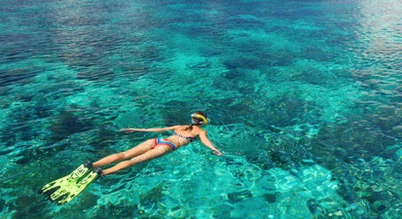 Snorkeling à Fréjus