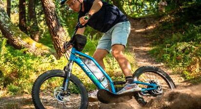 Billet Balade extrême guidée en trottinette à travers la forêt landaise à Labenne - 1h30