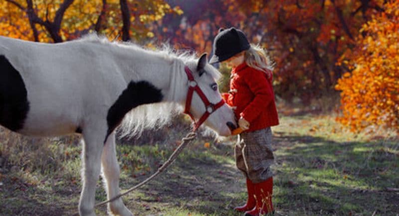 Stage ou cours d'équitation près de Saumur