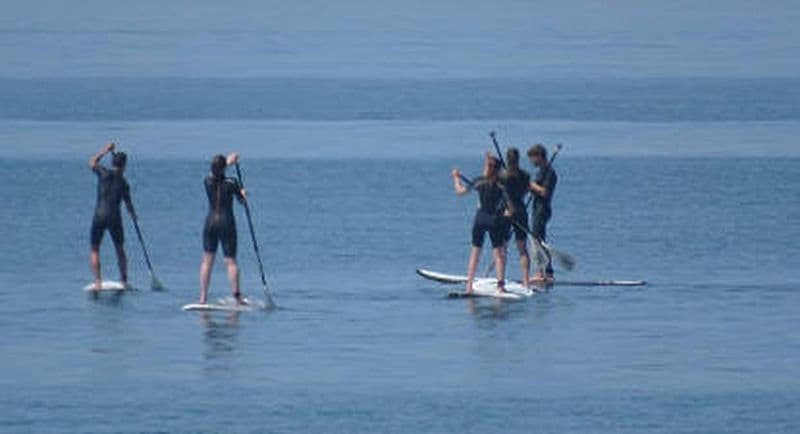 Location de Paddle à l'Île de Ré
