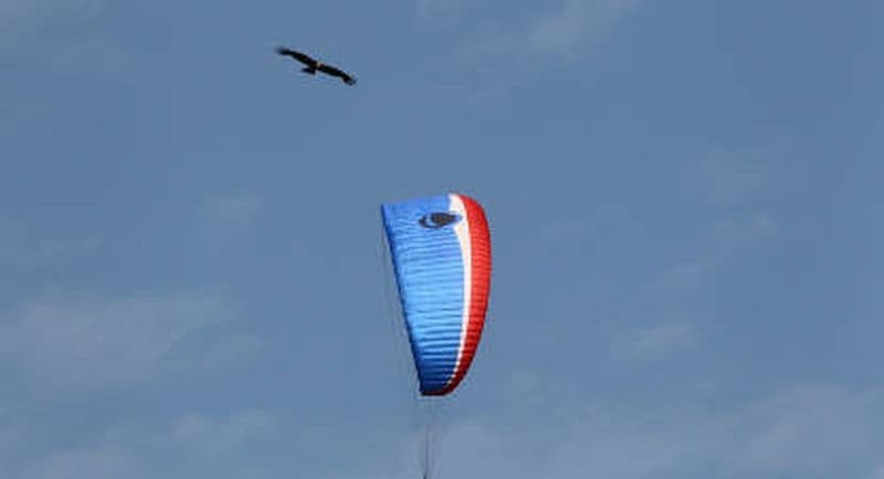 Vol en Parapente au Cirque de Gavarnie