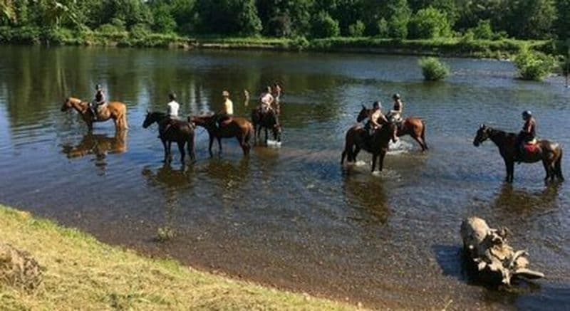 Balade à cheval à Souillac