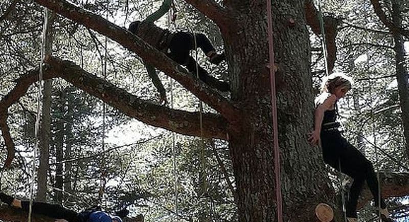 Grimpe d'Arbres près de Thonon-les-Bains