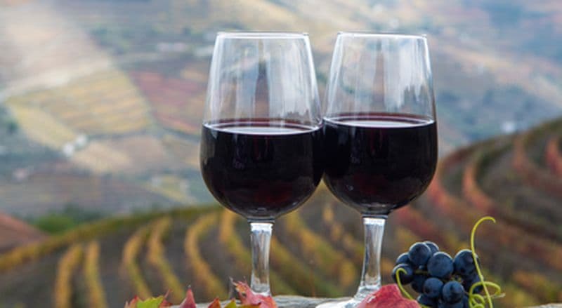 Dégustation de vins et atelier œnologique à Toulon