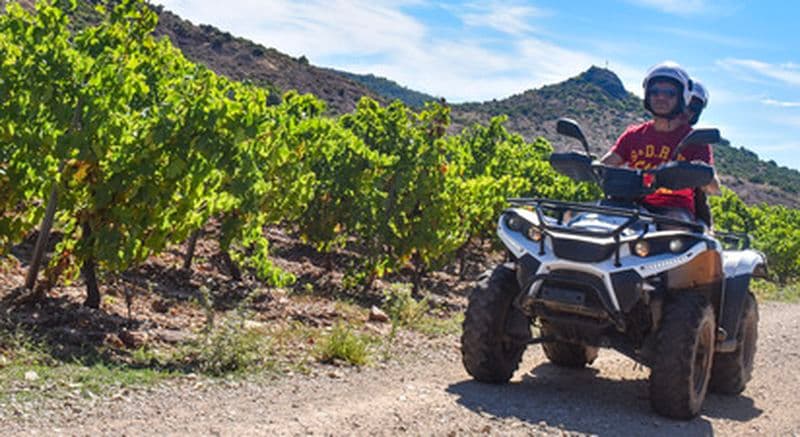 Randonnée dégustation et œnologie en quad à Lacoste près de Montpellier