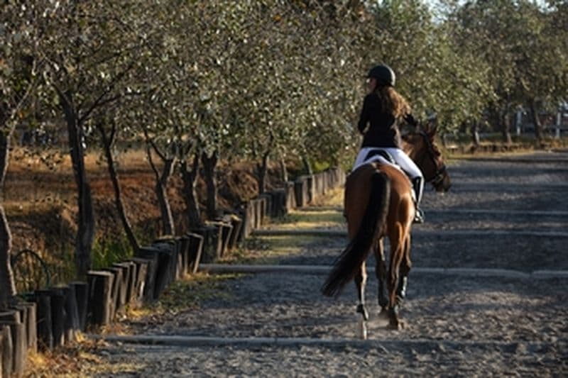 Balade à cheval au Moulin de la Forge