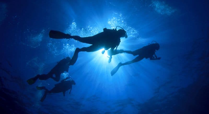 Baptême de plongée sur le bassin d'Arcachon
