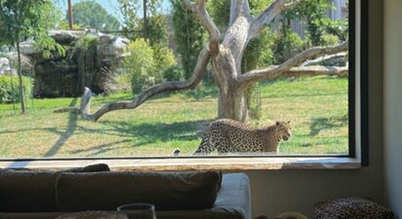 Billet Nuit insolite dans un lodge d'observation et visite d'un parc animalier près d'Orléans