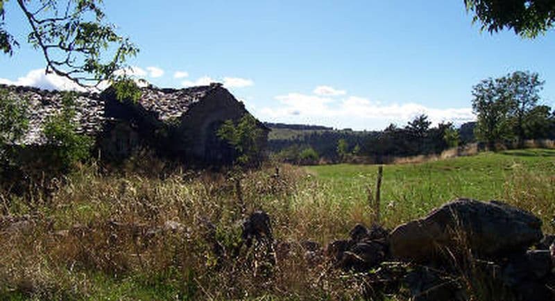 Course d'orientation dans le Parc National des Cévennes