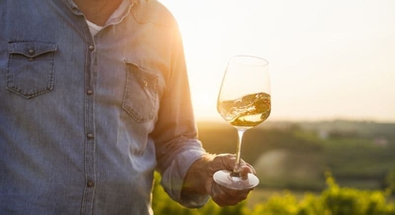 Billet Dégustation de vins au cœur d'un domaine viticole près de Sancerre