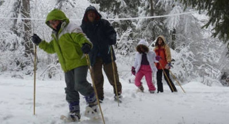 Billet Randonnée Raquettes à Morzine