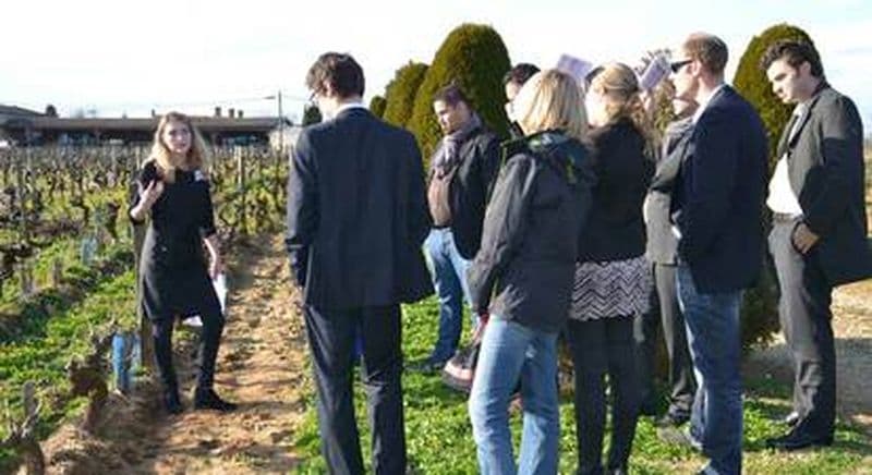 Cours d'Œnologie à Saint-Emilion - Accord vins et chocolats
