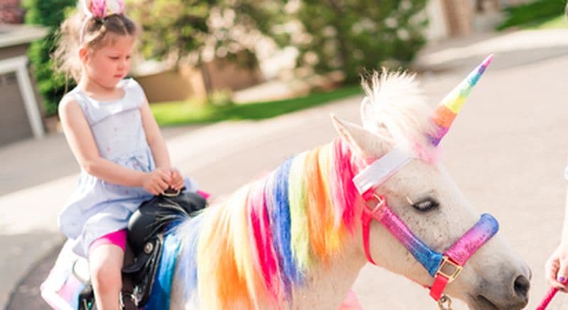 Anniversaire dans un centre équestre et balade à poney près de Meaux
