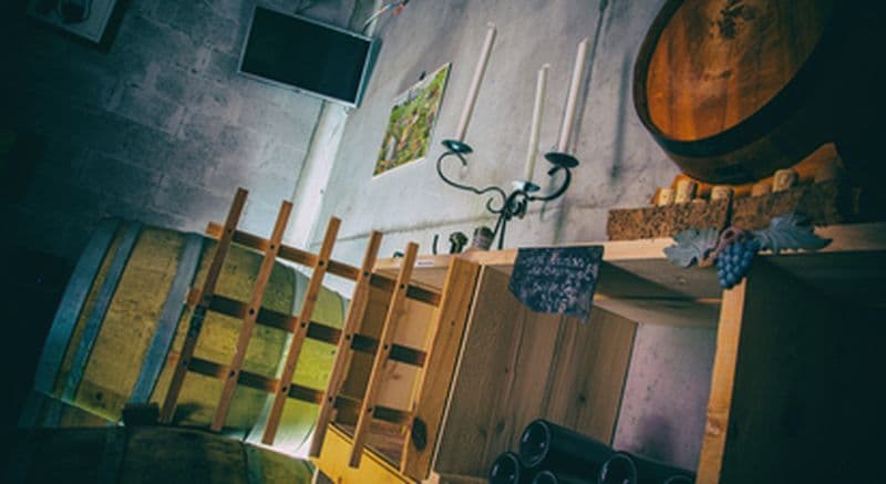 Escape Game œnologique à Chinon - Mission viticole à 3 joueurs