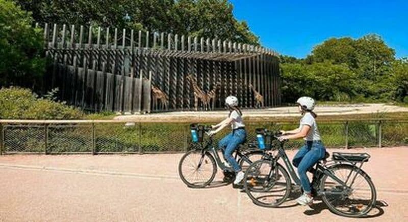 Billet Balade en vélo à la découverte de Lyon