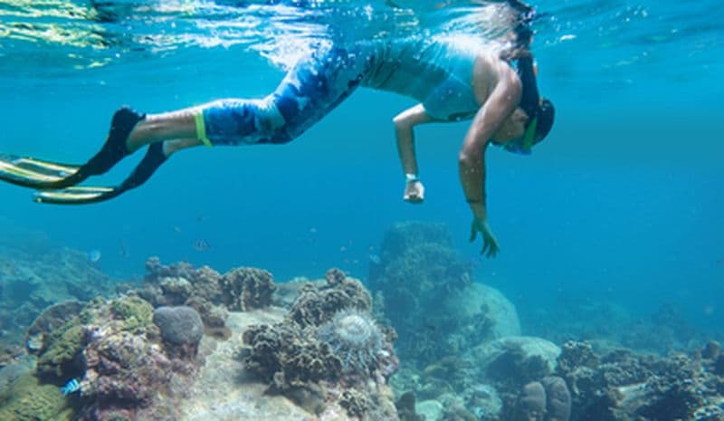 Snorkeling sur la Côte Vermeille