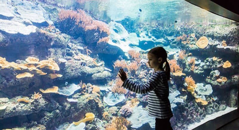 Billet Entrée à l'Aquarium de Paris
