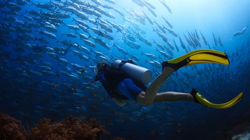 Baptême de plongée à Calcatoggio