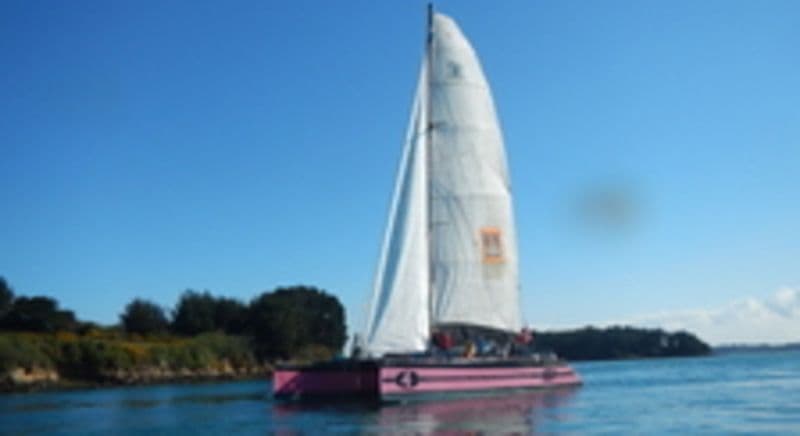 Billet Journée en Catamaran à l'Île d'Houat