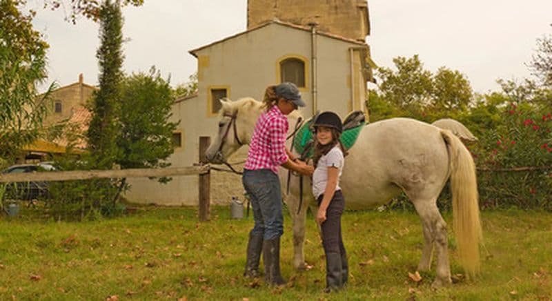 Cours d'équitation en Camargue près d'Arles