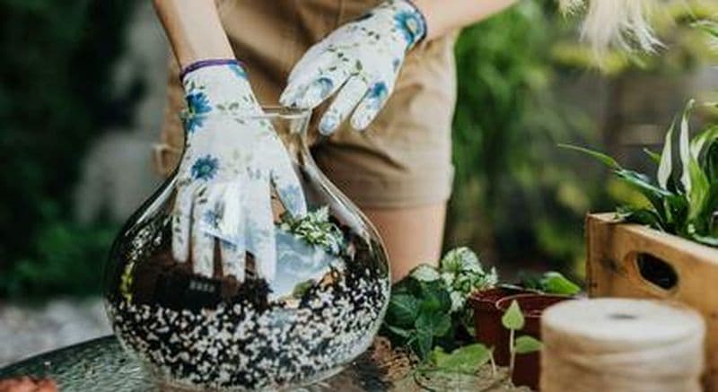 Billet Atelier de création d'un terrarium à Paris 10ème